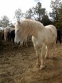 img_7777_28229129561_o