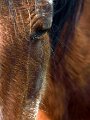 img_7791_27691884073_o