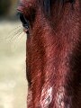 img_7792_28307725905_o
