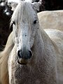 img_7794_28273380456_o