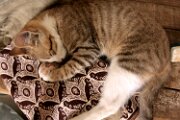 img_5668_28273405836_o
