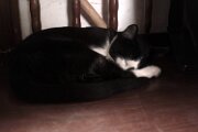 img_5671_28273405206_o