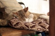 img_5673_28273404486_o