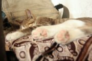 img_5676_27691899713_o