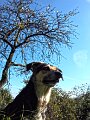 img_7042_28025922140_o