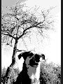 img_7043_27691899323_o