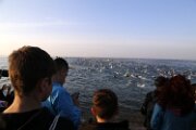 IRONBCN70320180010