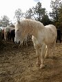 img_7777_28229129561_o