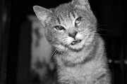 _MG_8517-1503w