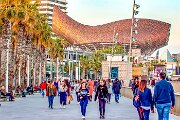bcn00036