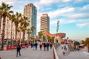 bcn00051
