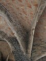 _MG_4359