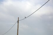 DELTA03312021