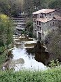 IMG_8321