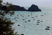 FRANCIA20191248