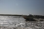 f0294626