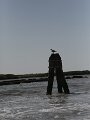 f0319522