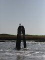 f0339682
