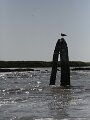 f0350434