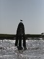 f0360418