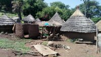 IMG_20180714_110149