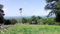 IMG_20180714_110314