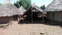 IMG_20180714_110344